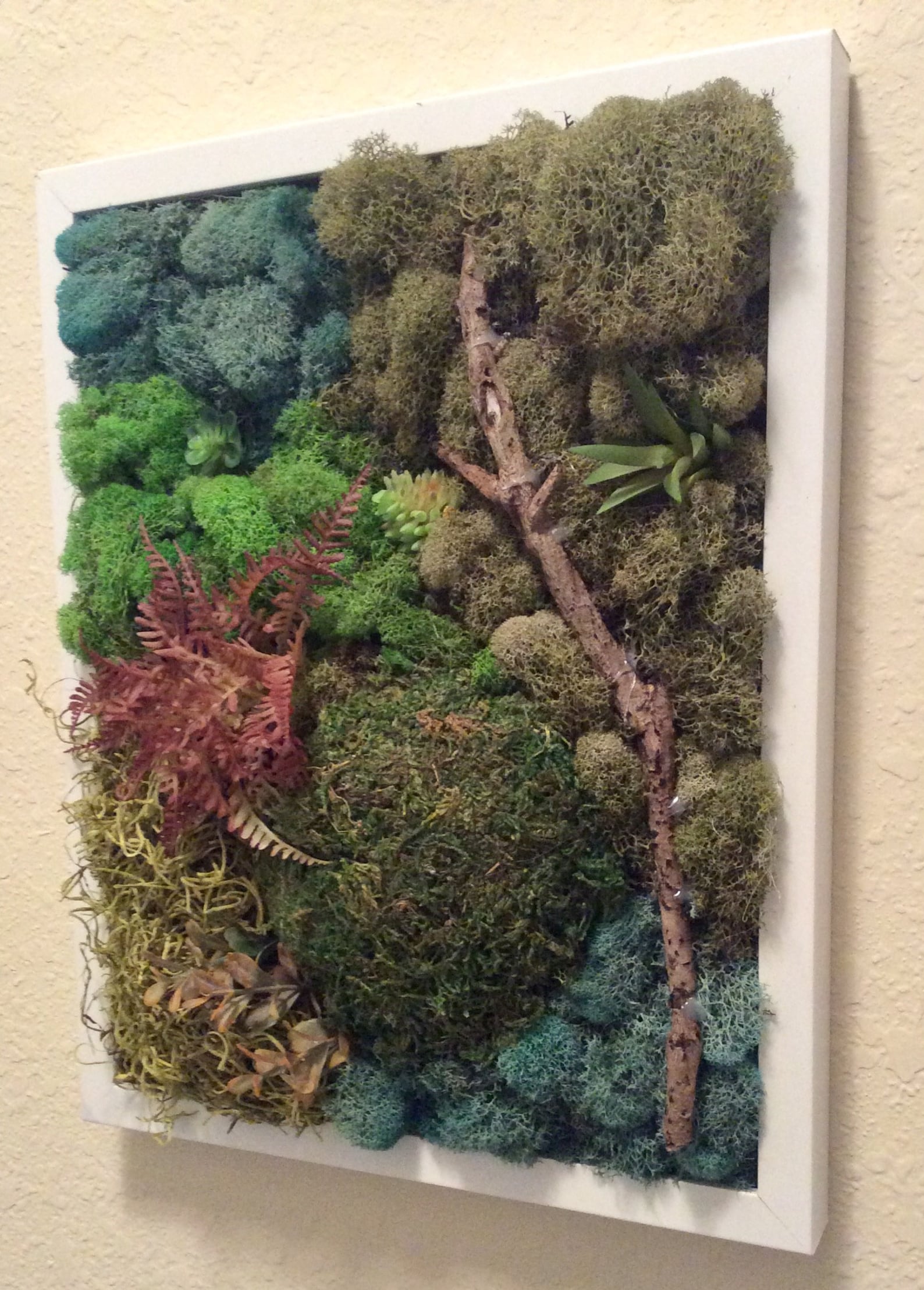 Reindeer Moss Living Wall Art Faux Succulents Framed Moss Art Etsy