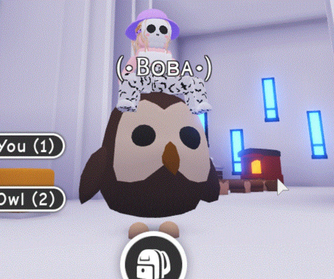 Adopt Me Pet Owl FR Etsy
