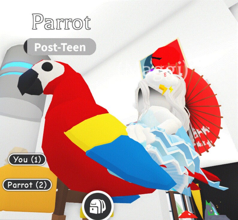 Adopt Me Pet FR Parrot Etsy