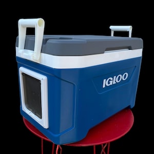 Insulated Cat Shelter: Igloo Cooler House for Outdoor Feral Cats