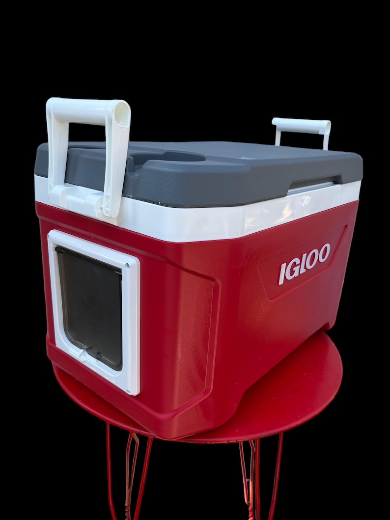 K&ouml;nnte beinhalten: Rote Igloo K&uuml;hlbox mit wei&szlig;em Deckel und grauer Oberseite. Die K&uuml;hlbox hat eine eingebaute Haustierklappe und zwei wei&szlig;e Griffe.