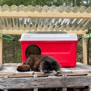 Insulated Outdoor Cat Shelter: 48 Qt Feral Cat House with Dual Doors