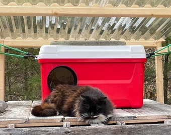Insulated Outdoor Cat Shelter: 48 Qt Feral Cat House with Dual Doors
