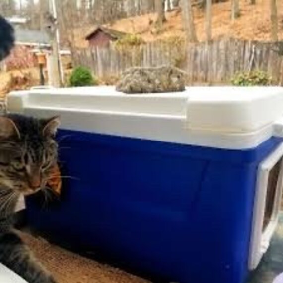 Feral 2025 cat pod