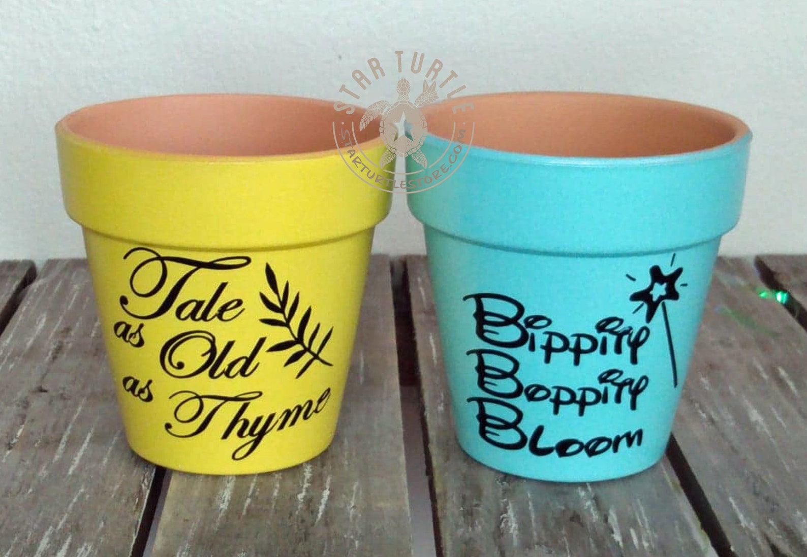 Spring Flower Pots Disney Princess Decor Small Succulent Etsy