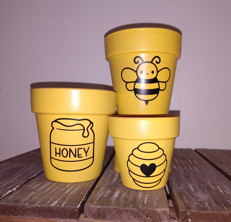 Indoor Outdoor Succulent Planter Save the Bees Bee Garden image 0
