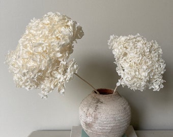 XL White Hydrangea | 20-25cm Preserved Hydrangea | Large Dried Flowers | Minimalist Home Decor | Hydrangea Wedding | White Home Decor