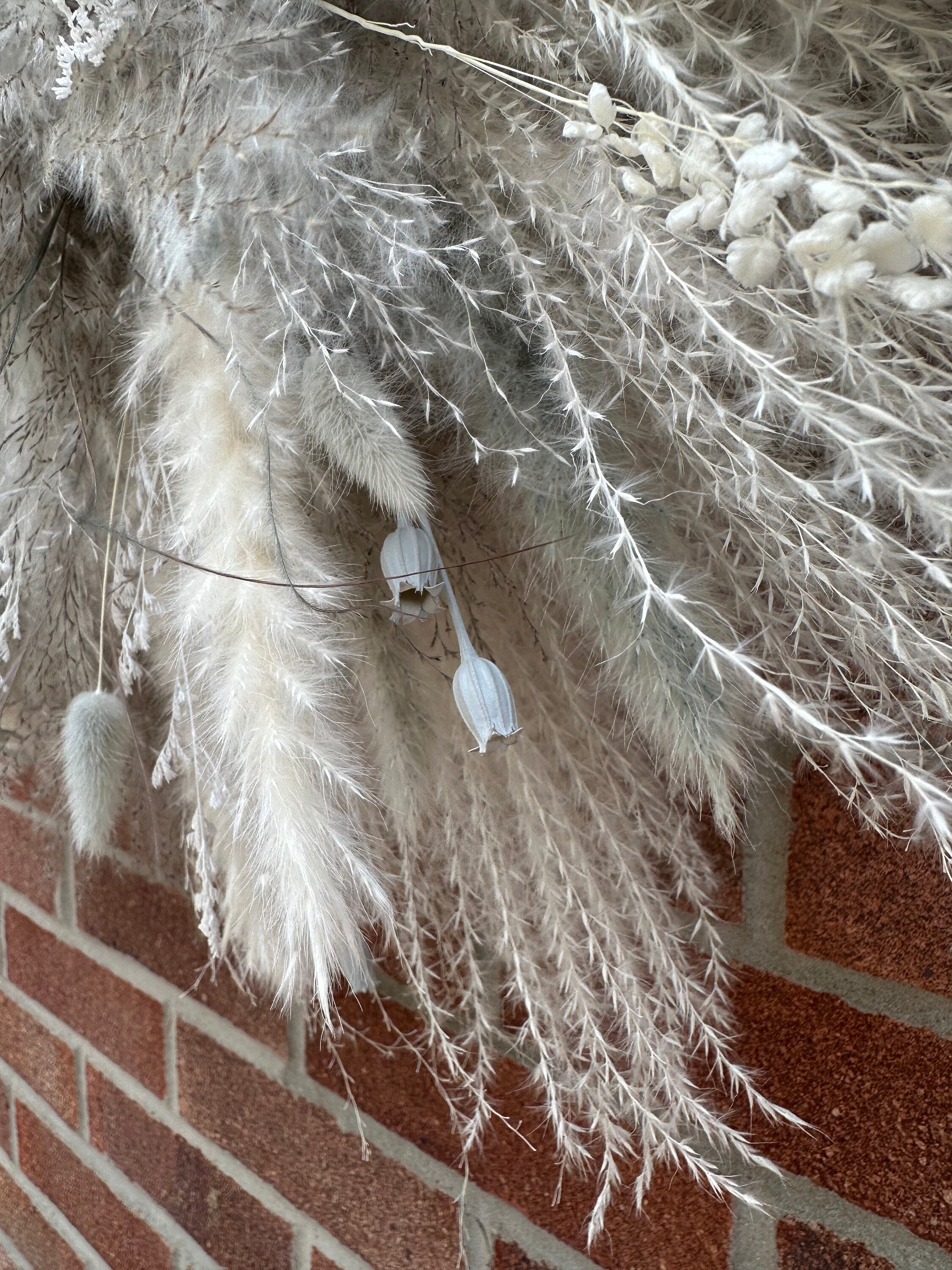 Pampas Wall Decor Neon Sign Arrangement Pampas Arch Etsy UK