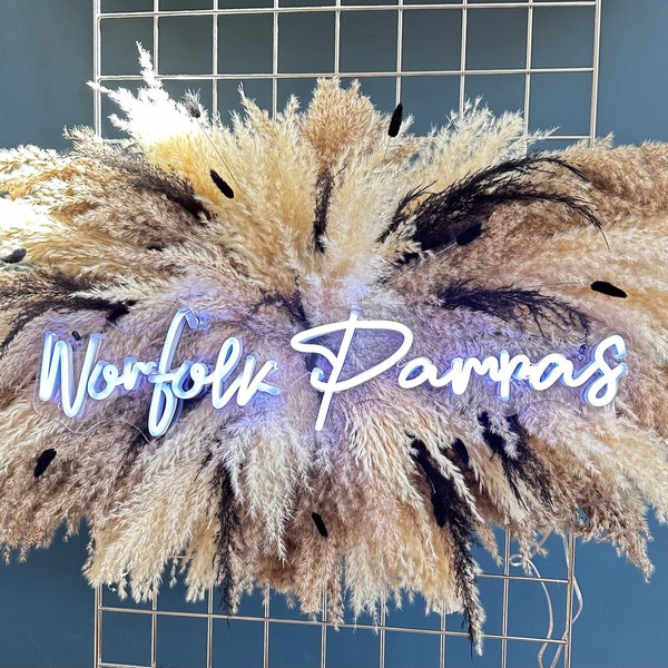 Pampas Large Dried Flower Arrangement | Pampas Wall Decor | Neon Sign Backdrop | Pampas Arch Arrangement | Salon Decor | Pampas Cloud