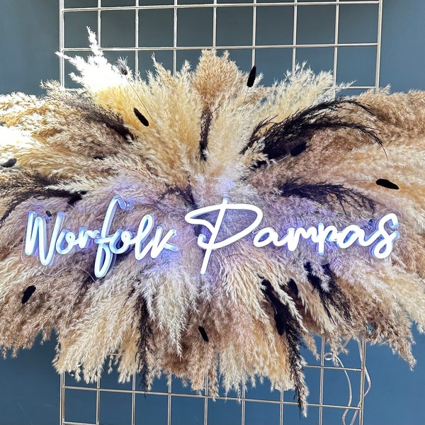 Pampas Neon Sign Etsy UK