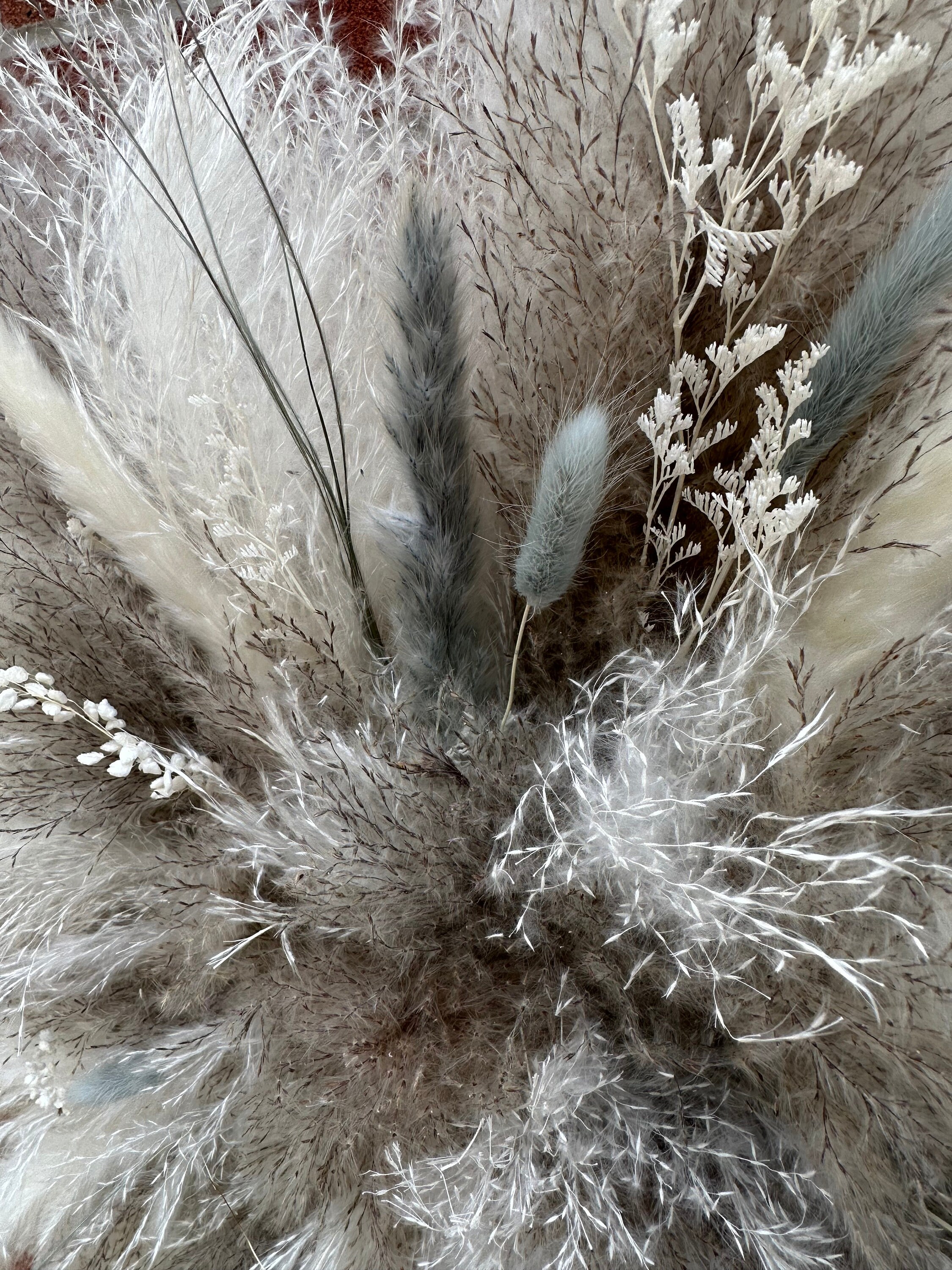 Pampas Wall Decor Neon Sign Arrangement Pampas Arch Etsy UK