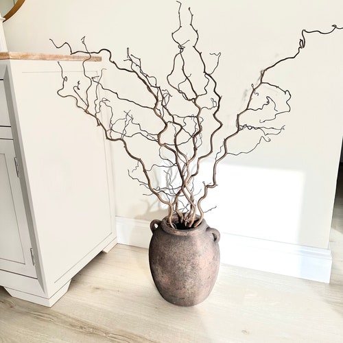 Corylus Branches | Twisted Hazel | Curly Twigs | Corkscrew Twisted twigs | Minimalist Wabi Sabi Decor | Twigs for Christmas Decorations