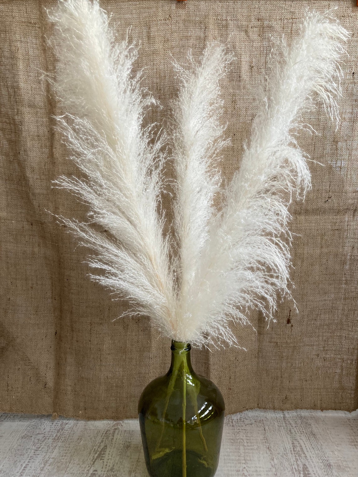 White Pampas Grass and Vase Set White 90cm Fluffy Pampas Etsy UK