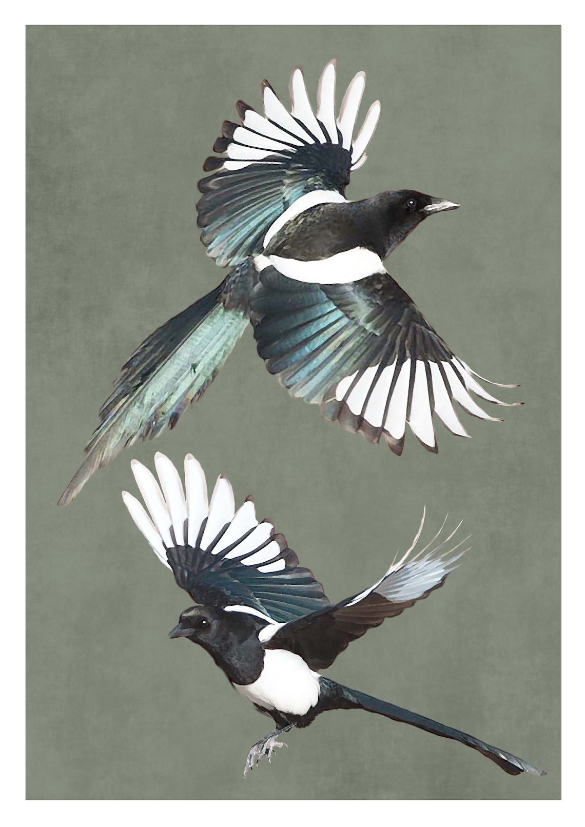 Magpie Pair Print Flying Bird Print Colourway Options Etsy UK