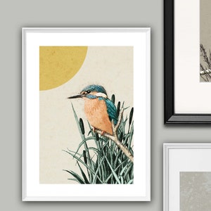 kingfisher bird print, wall art, nature print, home décor, wall hanging, bedroom, hallway, living room