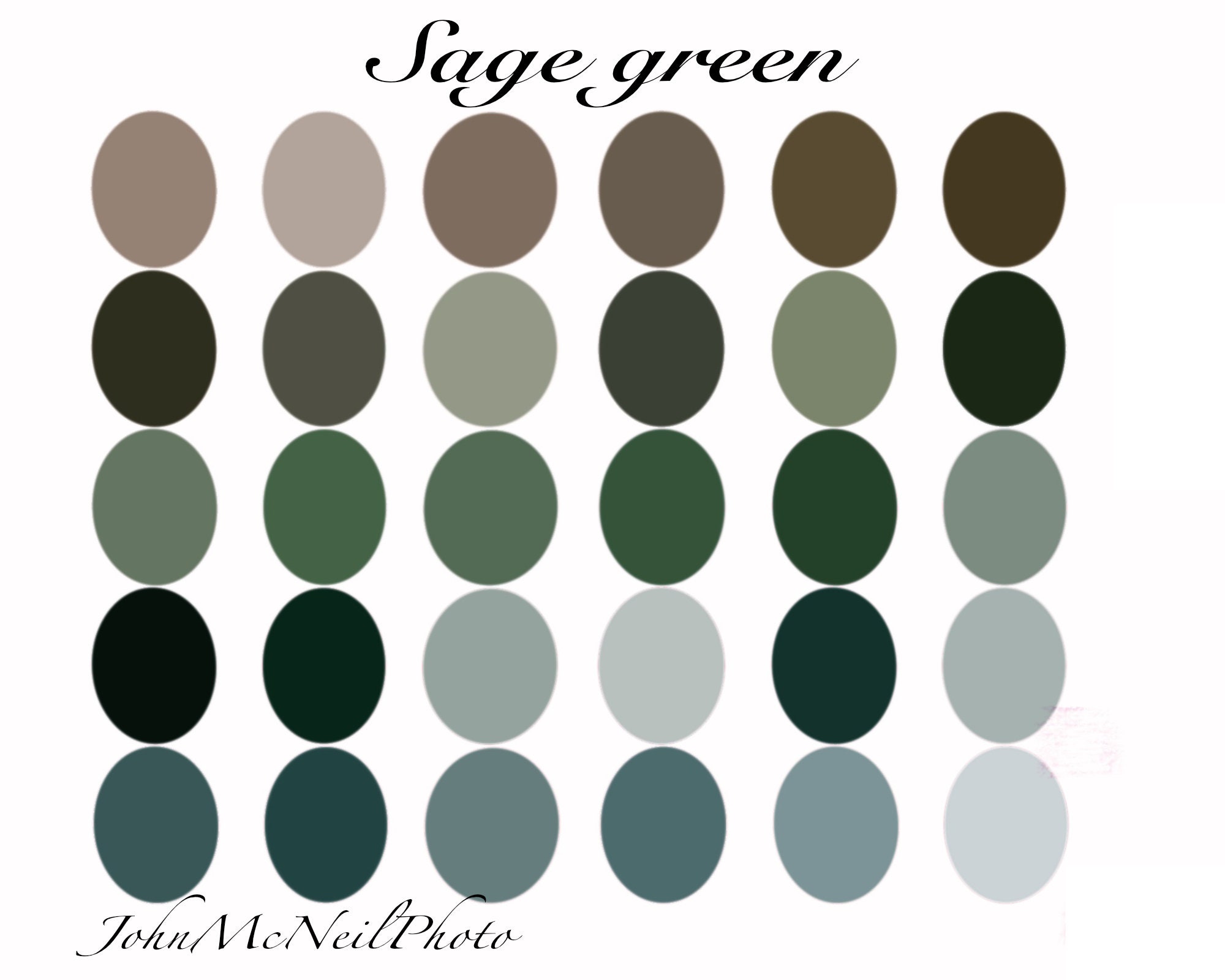 Sage green color palette swatch for procreate design | Etsy