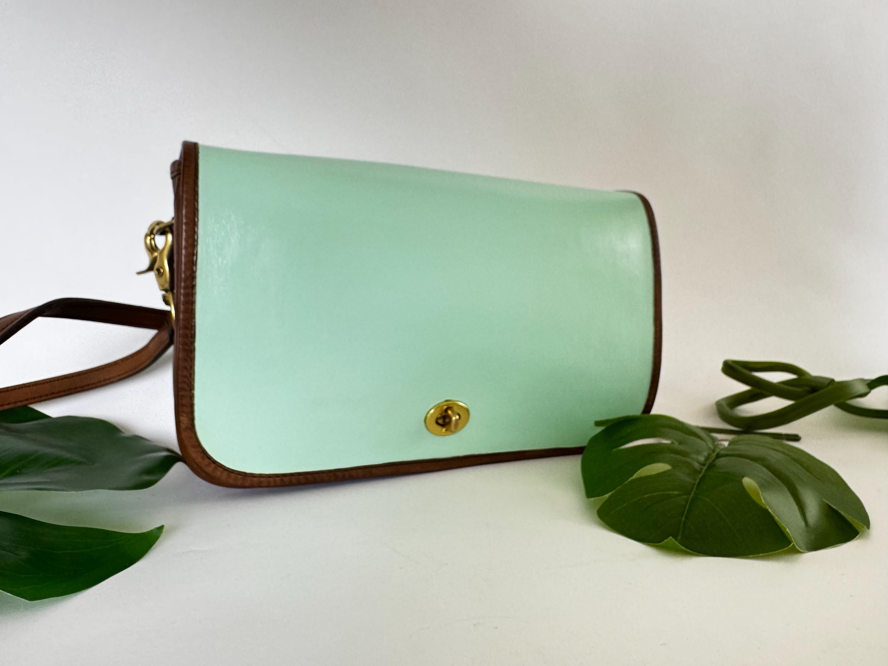 Mint Green Coach Handbag - Etsy