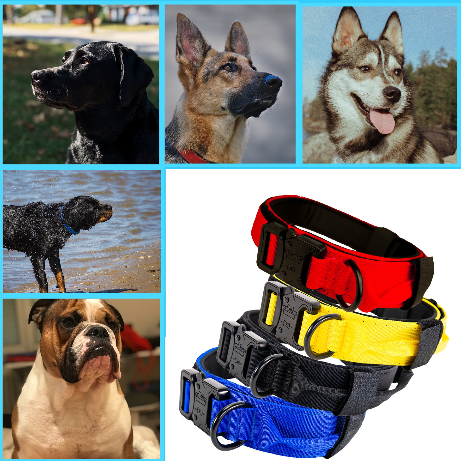 Heavy Duty Strong Tactical K9 Dog Collar 42cm 61cm Etsy UK
