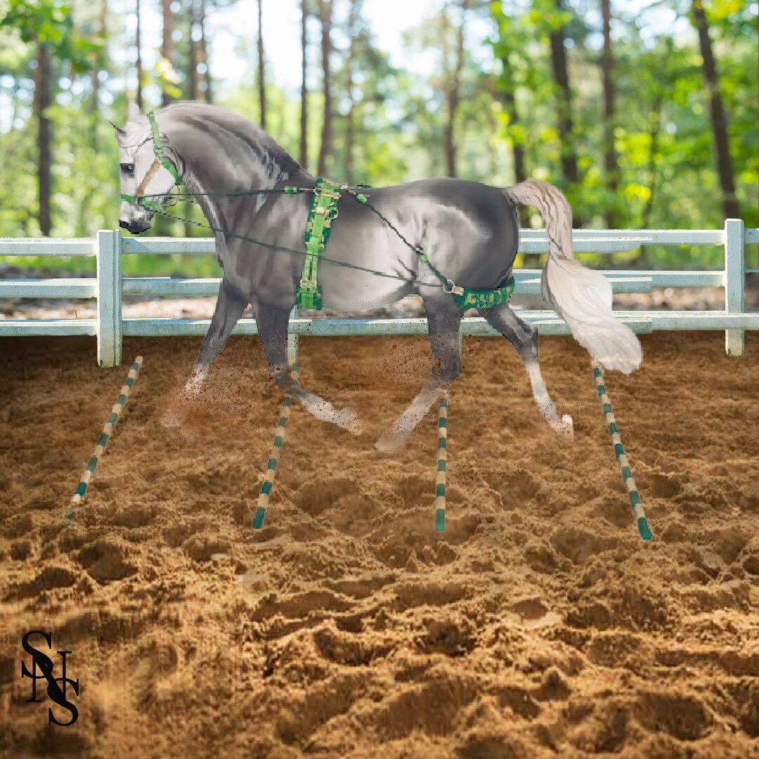 LSQ Model Horse Pessoa Lunging Set Etsy