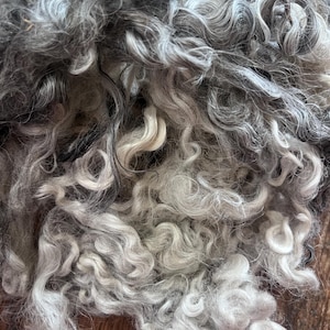Grey (mixed shades) washed Lincoln wool locks