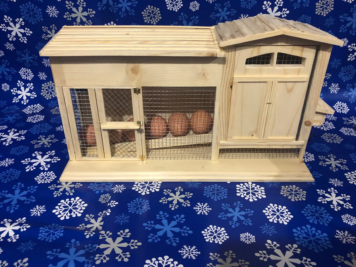 Chicken Coop Egg Holder Etsy