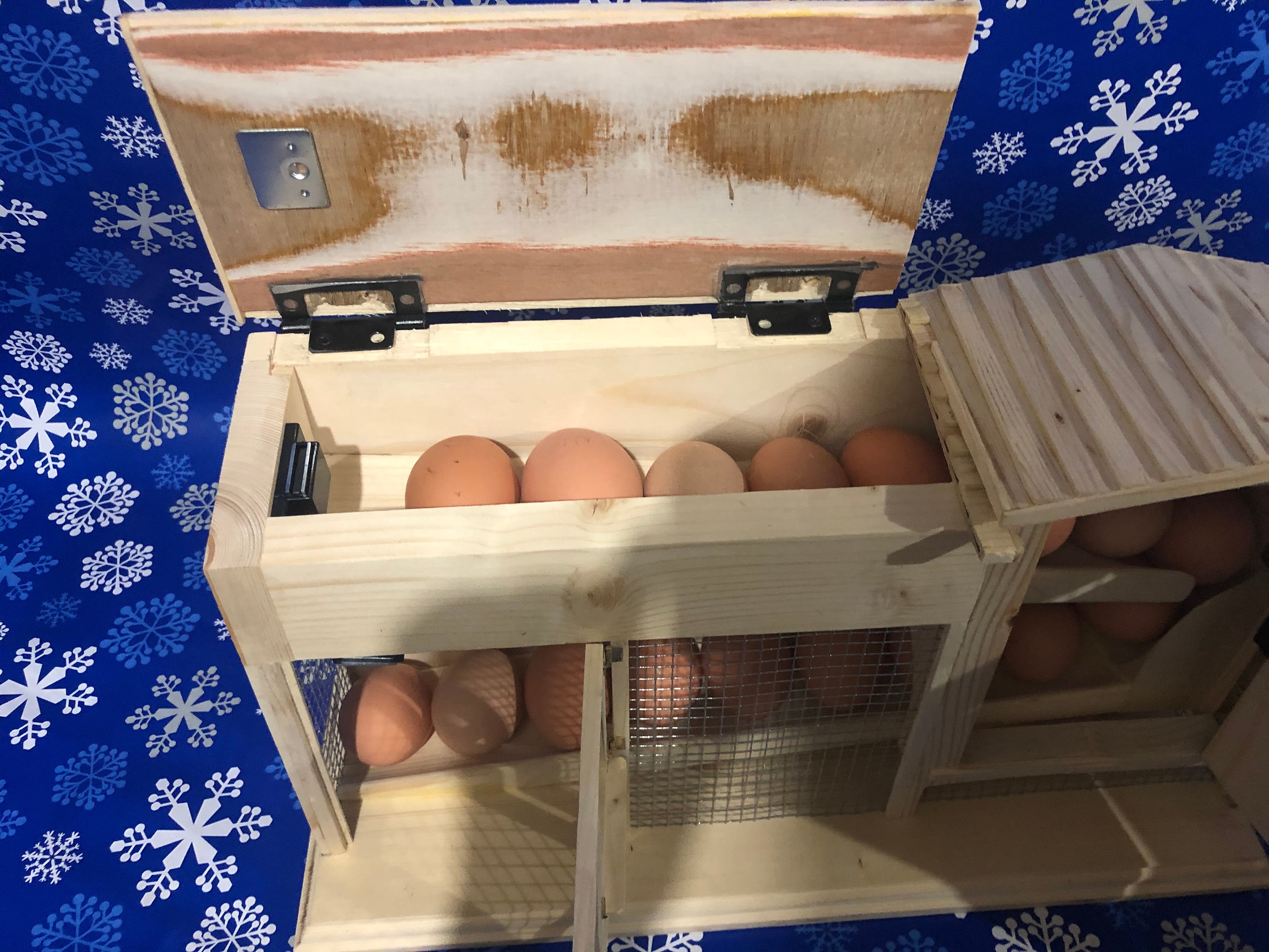 Chicken Coop Egg Holder Etsy