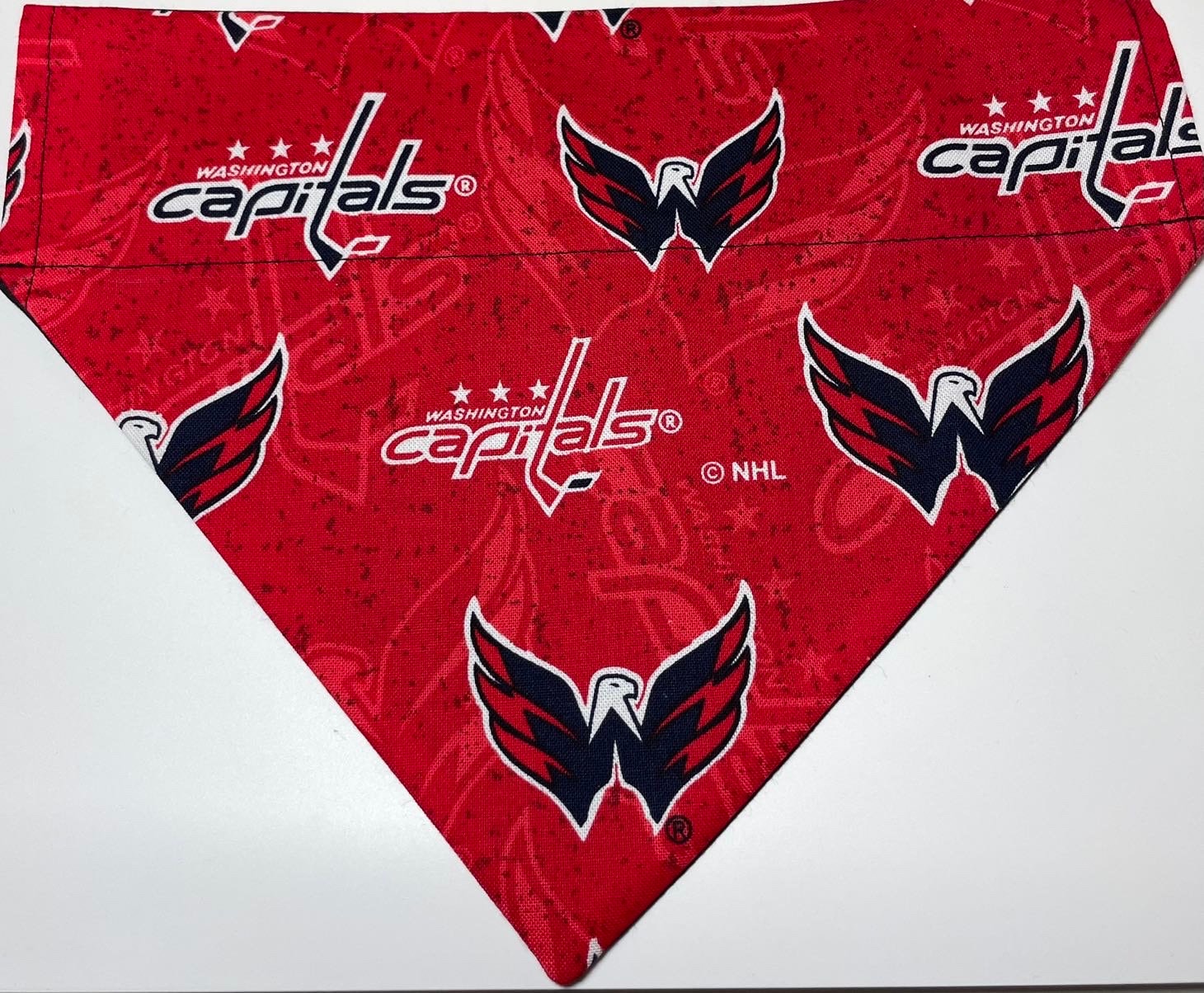 All Star Dogs: Washington Capitals Pet Products