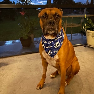 Tampa Bay Lightning Dog Bandana