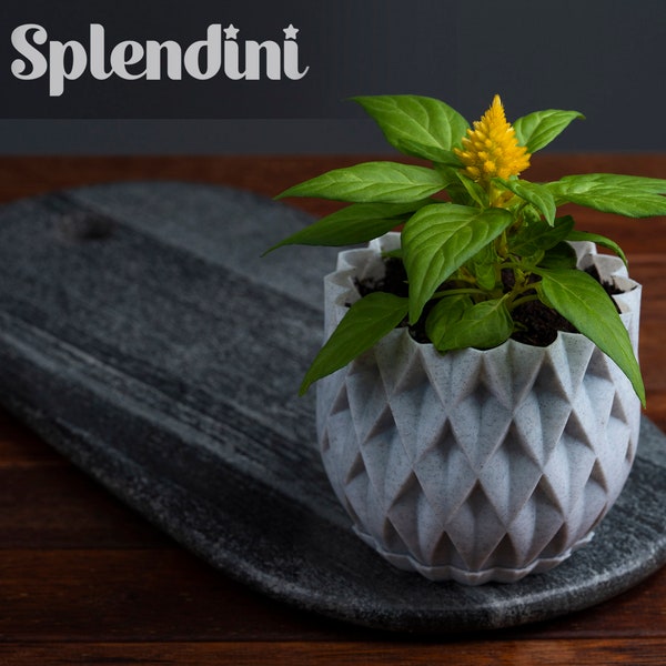 Geometric Pot | Various Colours | Organic Planters | Decorative Pot | Succulent Planters | Pots for Plants | Pattern | 3d Printed