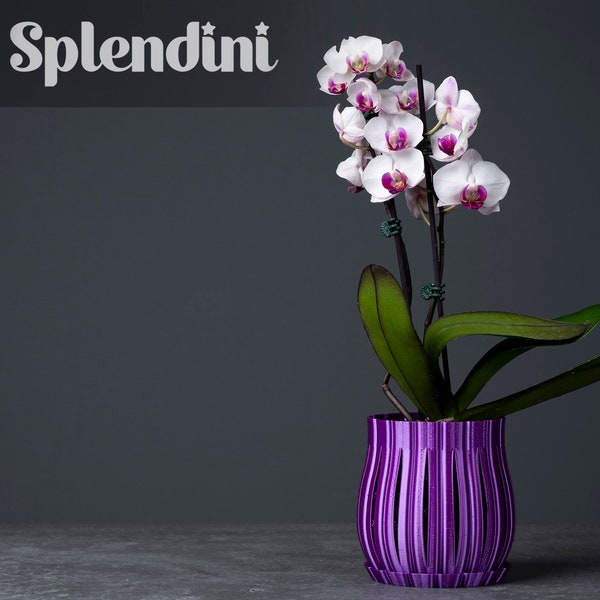 Maceta de orquídeas / Varios colores / Jardinera de flores / Maceta orgánica / Macetas para plantas / Decoración elegante / Impreso en 3D
