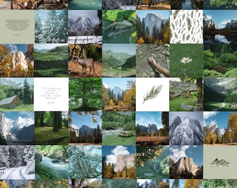 80pc National Park Travel Adventure Forest - Aesthetic Digital Photo Wall Collage Kit