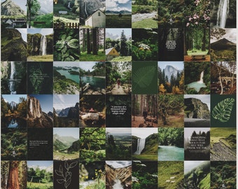 Nature Collage |