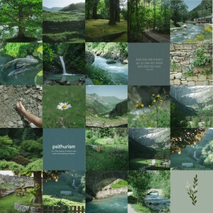 May include: A mood board with a green theme featuring images of nature, including a forest, a river, a waterfall, a mountain range, a daisy, and a stone wall. The text "psithurism" is written in the center of the board, with the definition "The sound of wind in the trees and rustling of leaves."