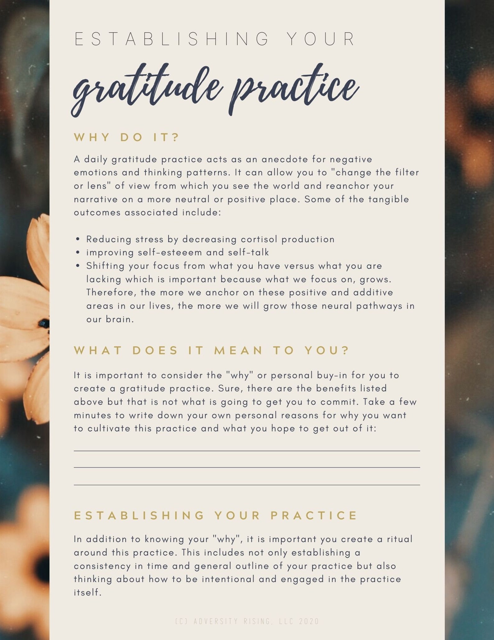 Establishing a Gratitude Practice Handout - Etsy