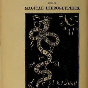 May include: A black and white illustration of a crowned serpent with a circle around its head. The serpent is surrounded by symbols and letters, including the letters "CSIQTINGH".