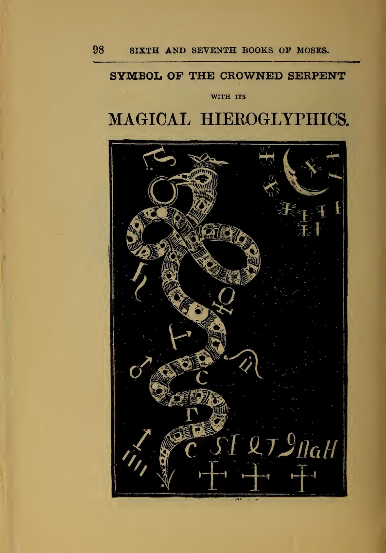 May include: A black and white illustration of a crowned serpent with a circle around its head. The serpent is surrounded by symbols and letters, including the letters "CSIQTINGH".