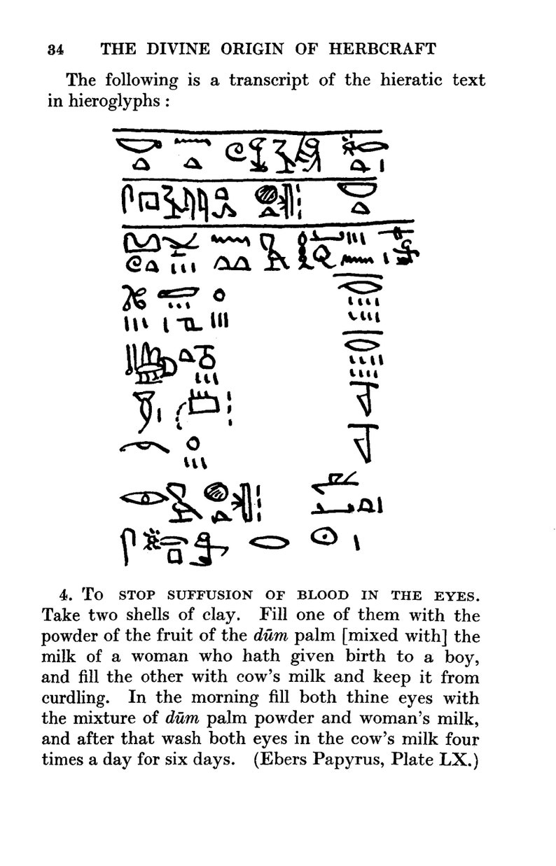 May include: A black and white image of ancient Egyptian hieroglyphs. The text describes a remedy for blood in the eyes using a mixture of d&uuml;m palm powder, cow's milk, and woman's milk.
