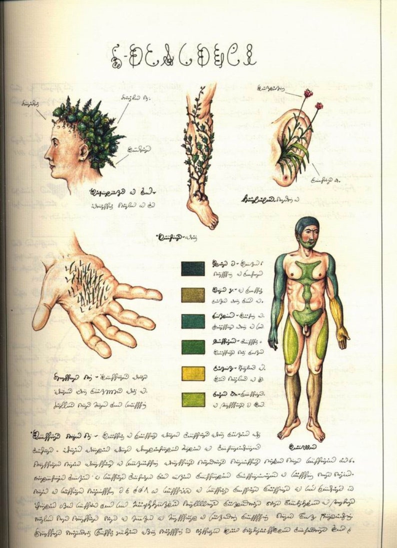 BIZARRE CODEX SERAPHINIANUS World's Strangest Surreal & Indecipherable Encyclopedia, very high resolution full color pdf, 373 pages image 6