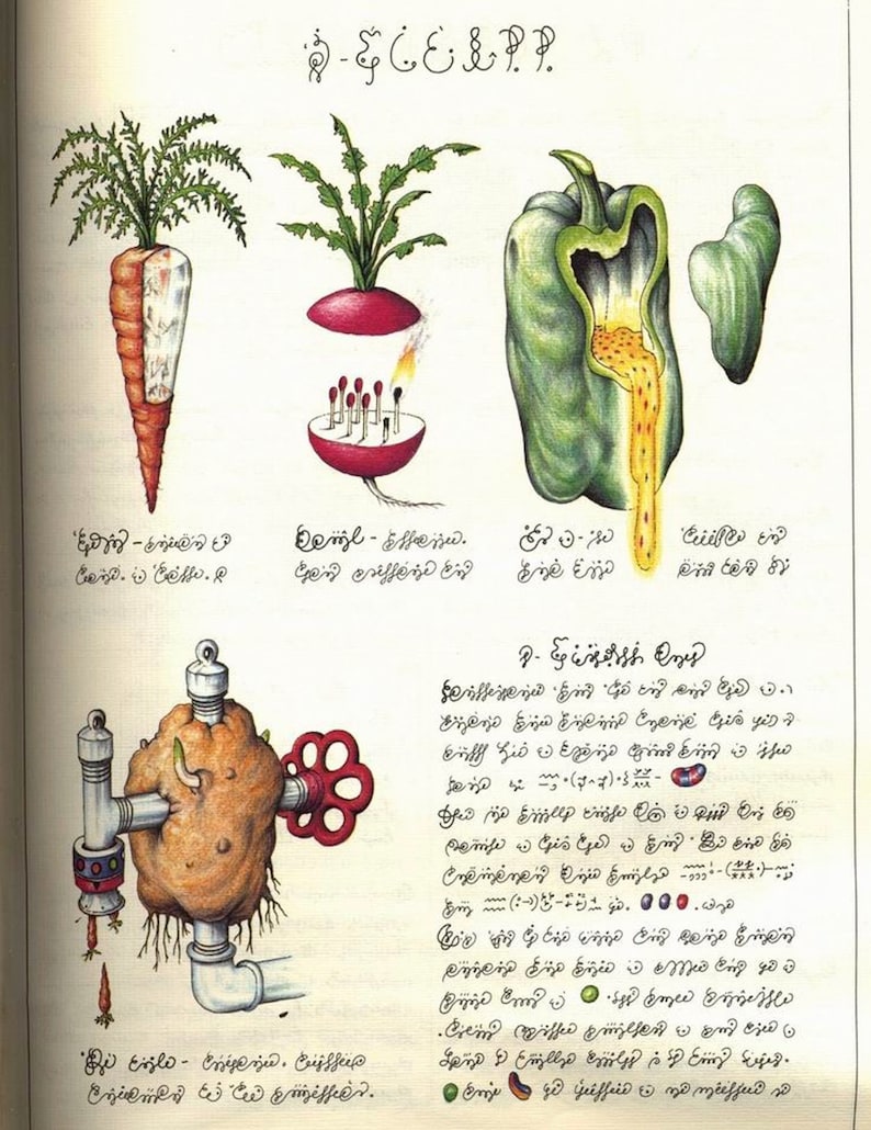 BIZARRE CODEX SERAPHINIANUS World's Strangest Surreal & Indecipherable Encyclopedia, very high resolution full color pdf, 373 pages image 9