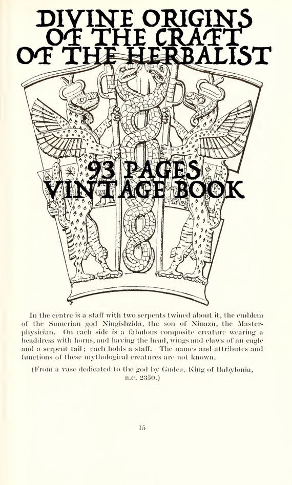DIVINE HERBALIST Vintage Book, Herbalism, Essential Oils, Plant Medicine, Hallucinogens, Occult, Healing, Magic, Witchcraft, History, PDF