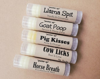 Choose Your Own, Funny Lip Balm, Little Gifts Ideas, Party Favors, Stocking Stuffers