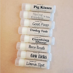 Choose Your Own, Funny Lip Balm, Little Gifts Ideas, Party Favors, Stocking Stuffers