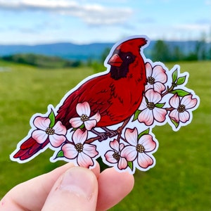 Kardinal Sticker für Laptop, Dogwood Blumen Sticker für Wasserflasche, Vogel Watcher Geschenke, Süßer Vogel Sticker, Wasserfeste Vinyl Sticker