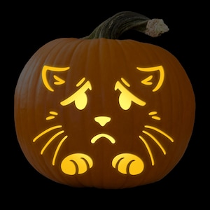 May include: A carved pumpkin with a sad cat face. The cat's eyes, nose, and mouth are carved out, and the pumpkin is lit from inside, creating a glowing effect.