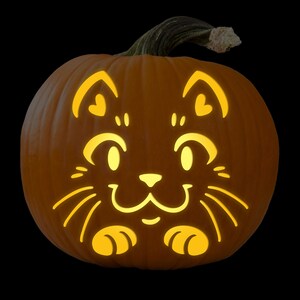 May include: A carved pumpkin with a cute cat face design. The cat has large eyes, a small nose, and whiskers. The pumpkin is lit from inside, creating a warm glow.
