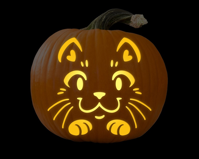 May include: A carved pumpkin with a cute cat face design. The cat has large eyes, a small nose, and whiskers. The pumpkin is lit from inside, creating a warm glow.