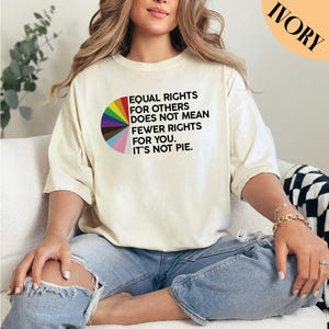 Equal Rights for Others Does Not Mean Fewer Rights for You Shirt, LGBT Shirt, Transgender Rainbow, Pride Shirt, Comfort Colors Shirt