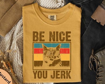 Be Nice You Jerk Comfort Colors® T-Shirt, Shrinking Bubble Slang 70s Shirt, Sarcastic Humor Gifts, Anti Bully Sweater, Gift for Her