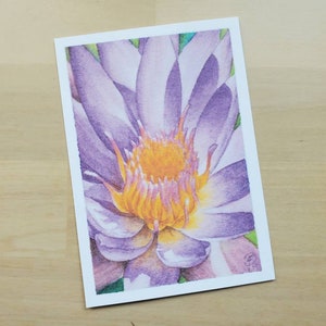3.5in x 5in Print -- Water Lily -- open edition print of watercolor original