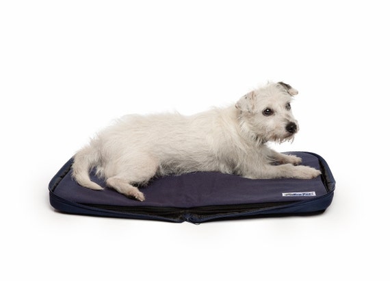 extra small dog beds